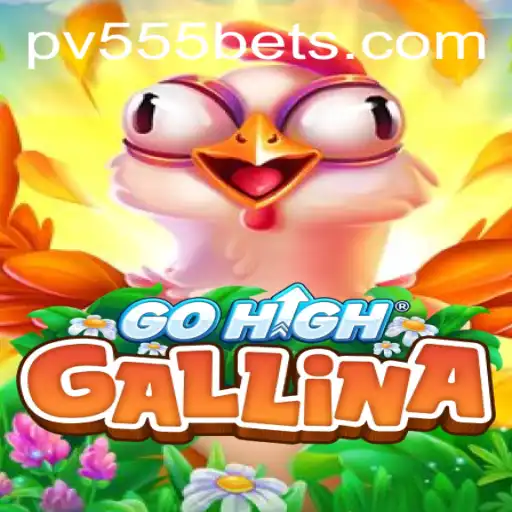 Discovering the Thrills of GoHighGallina with PV555