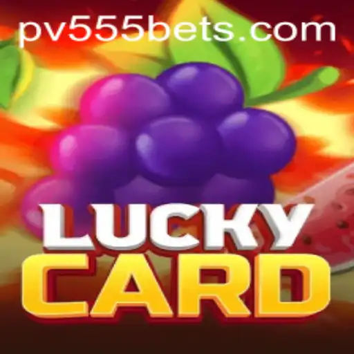 Unveiling the Thrills of LuckyCard and Its Intriguing 'PV555' Feature